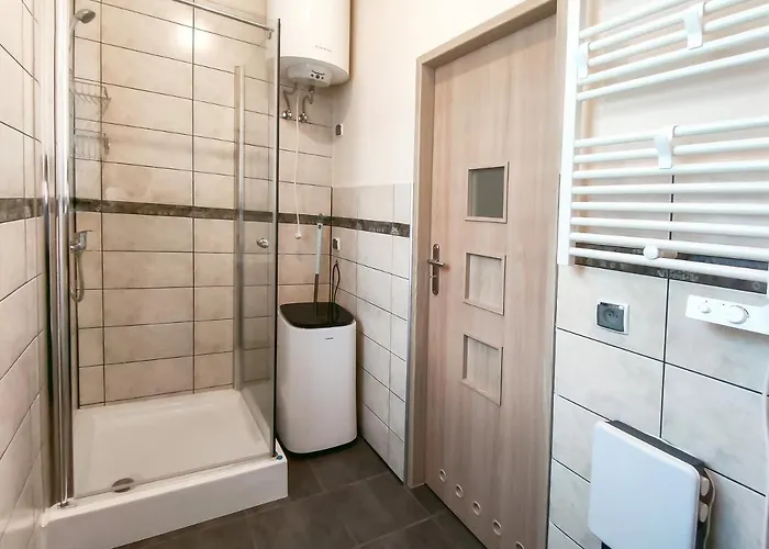 Alpejski Duzy Apartment *