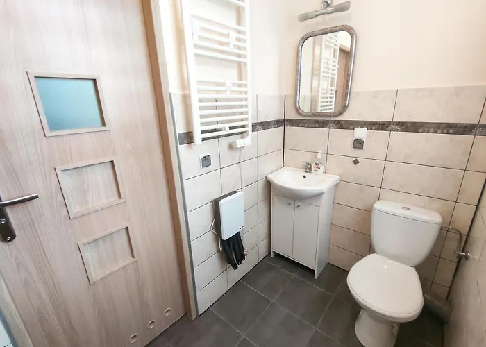 Alpejski Duzy Apartment *